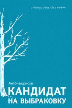 Читайте книги онлайн на Bookidrom.ru! Бесплатные книги в одном клике Антон Борисов - Кандидат на выбраковку