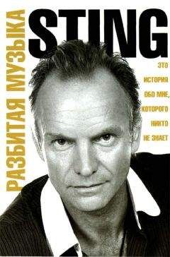 Читайте книги онлайн на Bookidrom.ru! Бесплатные книги в одном клике Стинг - Разбитая музыка