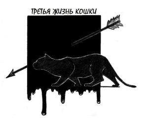 Читайте книги онлайн на Bookidrom.ru! Бесплатные книги в одном клике Константин Бабулин - Третья жизнь кошки [СИ]