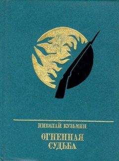 Читайте книги онлайн на Bookidrom.ru! Бесплатные книги в одном клике Николай Кузьмин - Огненная судьба. Повесть о Сергее Лазо