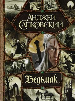 Читайте книги онлайн на Bookidrom.ru! Бесплатные книги в одном клике Анджей Сапковский - Ведьмак (большой сборник)