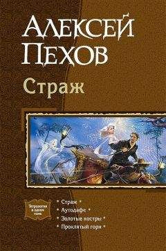 Читайте книги онлайн на Bookidrom.ru! Бесплатные книги в одном клике Алексей Пехов - Страж. Тетралогия