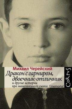 Читайте книги онлайн на Bookidrom.ru! Бесплатные книги в одном клике Михаил Черейский - Дракон с гарниром, двоечник-отличник и другие истории про маменькиного сынка