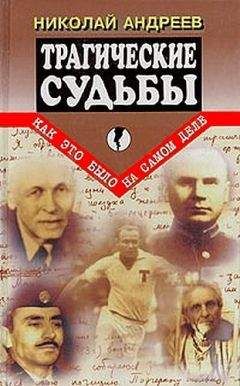 Читайте книги онлайн на Bookidrom.ru! Бесплатные книги в одном клике Николай Андреев - Трагические судьбы