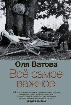 Читайте книги онлайн на Bookidrom.ru! Бесплатные книги в одном клике Оля Ватова - Все самое важное