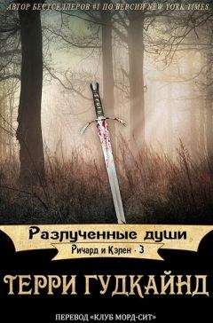 Читайте книги онлайн на Bookidrom.ru! Бесплатные книги в одном клике Терри Гудкайнд - Разлученные души