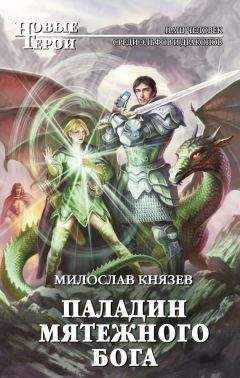 Читайте книги онлайн на Bookidrom.ru! Бесплатные книги в одном клике Милослав Князев - Паладин мятежного бога