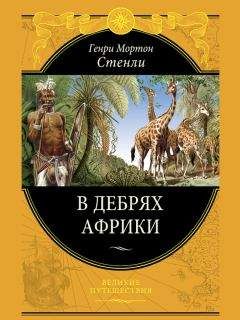 Читайте книги онлайн на Bookidrom.ru! Бесплатные книги в одном клике Генри Мортон Стенли - В дебрях Африки