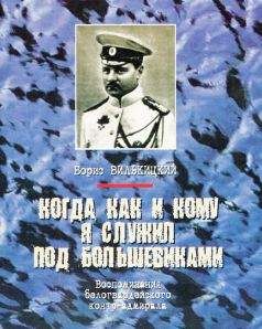 Читайте книги онлайн на Bookidrom.ru! Бесплатные книги в одном клике Борис Вилькицкий - Борис Вилькицкий