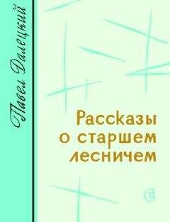 Читайте книги онлайн на Bookidrom.ru! Бесплатные книги в одном клике Павел Далецкий - Рассказы о старшем лесничем