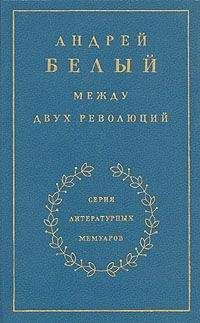Читайте книги онлайн на Bookidrom.ru! Бесплатные книги в одном клике Андрей Белый - Книга 3. Между двух революций