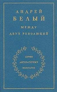 Читайте книги онлайн на Bookidrom.ru! Бесплатные книги в одном клике Андрей Белый - Книга 3. Между двух революций