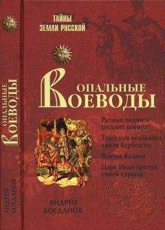 Читайте книги онлайн на Bookidrom.ru! Бесплатные книги в одном клике Андрей Богданов - Опальные воеводы