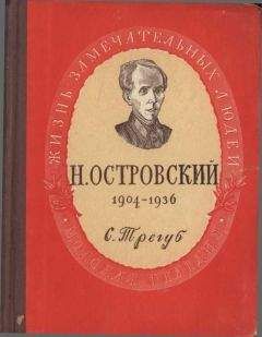 Читайте книги онлайн на Bookidrom.ru! Бесплатные книги в одном клике Семен Трегуб - Николай Алексеевич Островский