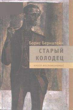 Читайте книги онлайн на Bookidrom.ru! Бесплатные книги в одном клике Борис Бернштейн - Старый колодец. Книга воспоминаний
