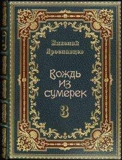 Читайте книги онлайн на Bookidrom.ru! Бесплатные книги в одном клике Николай Ярославцев - Вождь из сумерек 3