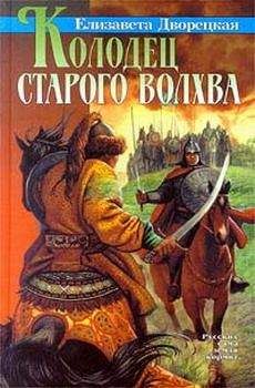 Читайте книги онлайн на Bookidrom.ru! Бесплатные книги в одном клике Елизавета Дворецкая - Колодец старого волхва