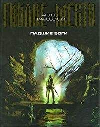 Читайте книги онлайн на Bookidrom.ru! Бесплатные книги в одном клике Антон Грановский - Падшие боги