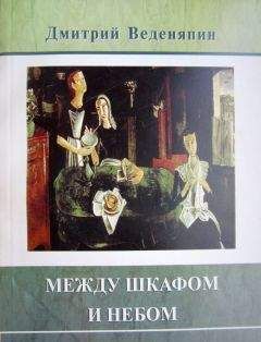 Читайте книги онлайн на Bookidrom.ru! Бесплатные книги в одном клике Дмитрий Веденяпин - Между шкафом и небом