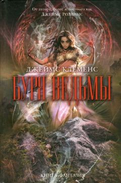 Читайте книги онлайн на Bookidrom.ru! Бесплатные книги в одном клике Джеймс Клеменс - Буря ведьмы