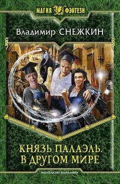 Читайте книги онлайн на Bookidrom.ru! Бесплатные книги в одном клике Владимир Снежкин - Князь Палаэль. В другом мире