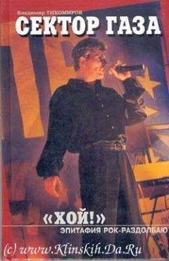 Читайте книги онлайн на Bookidrom.ru! Бесплатные книги в одном клике Владимир Тихомиров - Хой! Эпитафия рок-раздолбаю