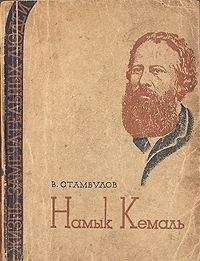 Читайте книги онлайн на Bookidrom.ru! Бесплатные книги в одном клике В. Стамбулов - Намык Кемаль