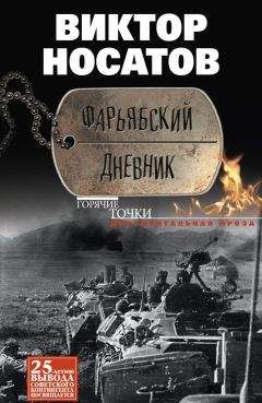 Читайте книги онлайн на Bookidrom.ru! Бесплатные книги в одном клике Виктор Носатов - Фарьябский дневник