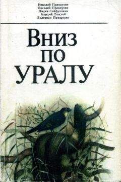 Читайте книги онлайн на Bookidrom.ru! Бесплатные книги в одном клике Николай Правдухин - Вниз по Уралу