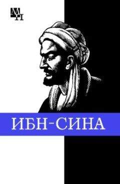 Читайте книги онлайн на Bookidrom.ru! Бесплатные книги в одном клике Артур Сагадеев - Ибн-Сина (Авиценна)