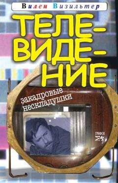 Читайте книги онлайн на Bookidrom.ru! Бесплатные книги в одном клике Вилен Визильтер - Телевидение. Закадровые нескладушки