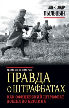 Читайте книги онлайн на Bookidrom.ru! Бесплатные книги в одном клике Александр Пыльцын - Правда о штрафбатах. Как офицерский штрафбат дошел до Берлина