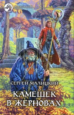 Читайте книги онлайн на Bookidrom.ru! Бесплатные книги в одном клике Сергей Малицкий - Камешек в жерновах