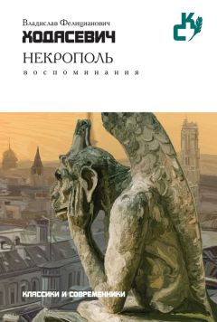 Читайте книги онлайн на Bookidrom.ru! Бесплатные книги в одном клике Владислав Ходасевич - Некрополь