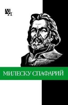 Читайте книги онлайн на Bookidrom.ru! Бесплатные книги в одном клике Дмитрий Урсул - Николай Гаврилович Милеску Спафарий