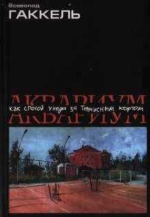 Читайте книги онлайн на Bookidrom.ru! Бесплатные книги в одном клике Всеволод Гаккель - Аквариум как способ ухода за теннисным кортом