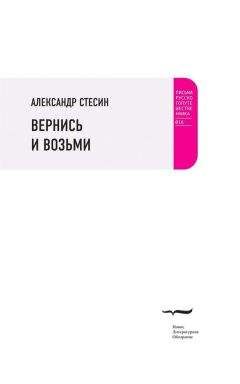 Читайте книги онлайн на Bookidrom.ru! Бесплатные книги в одном клике Александр Стесин - Вернись и возьми