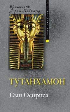 Читайте книги онлайн на Bookidrom.ru! Бесплатные книги в одном клике Кристиана Дерош-Ноблькур - Тутанхамон. Сын Осириса