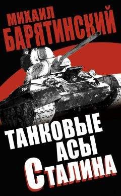 Читайте книги онлайн на Bookidrom.ru! Бесплатные книги в одном клике Михаил Барятинский - Танковые асы Сталина