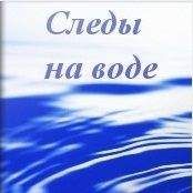 Читайте книги онлайн на Bookidrom.ru! Бесплатные книги в одном клике Сергей Ефанов - Псимаг: Книга 1 - Следы на Воде