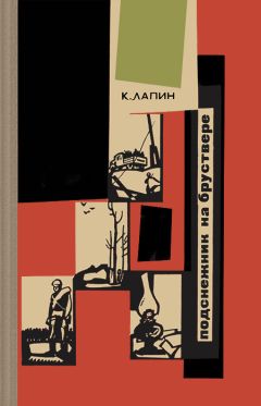 Читайте книги онлайн на Bookidrom.ru! Бесплатные книги в одном клике Константин Лапин - Подснежник на бруствере