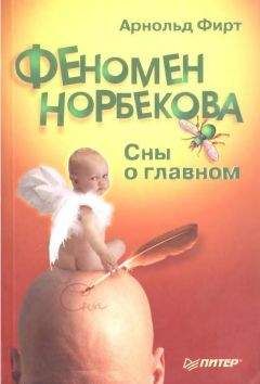 Читайте книги онлайн на Bookidrom.ru! Бесплатные книги в одном клике Арнольд Фирт - Феномен Норбекова