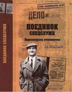 Читайте книги онлайн на Bookidrom.ru! Бесплатные книги в одном клике Александр Витковский - Поединок спецслужб. Перезагрузка отменяется