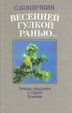 Читайте книги онлайн на Bookidrom.ru! Бесплатные книги в одном клике С. Кошечкин - Весенней гулкой ранью...