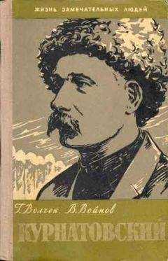 Читайте книги онлайн на Bookidrom.ru! Бесплатные книги в одном клике Григорий Волчек - Виктор Курнатовский