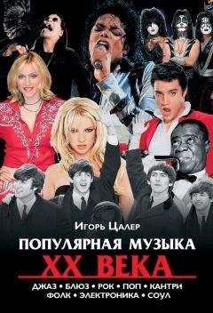 Читайте книги онлайн на Bookidrom.ru! Бесплатные книги в одном клике Игорь Цалер - Популярная музыка XX века: джаз, блюз, рок, поп, кантри, фолк, электроника, соул