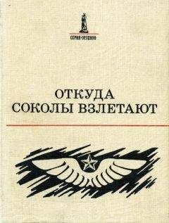 Читайте книги онлайн на Bookidrom.ru! Бесплатные книги в одном клике Николай Галкин - Откуда соколы взлетают