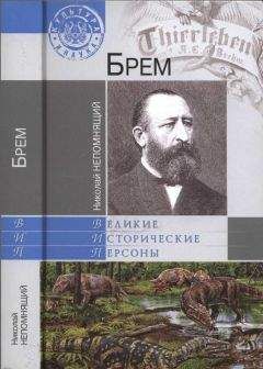 Читайте книги онлайн на Bookidrom.ru! Бесплатные книги в одном клике Николай Непомнящий - Брем