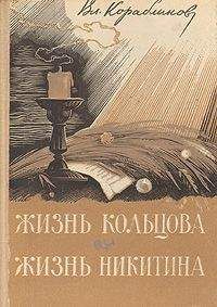 Читайте книги онлайн на Bookidrom.ru! Бесплатные книги в одном клике Владимир Кораблинов - Жизнь Никитина