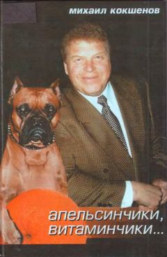 Читайте книги онлайн на Bookidrom.ru! Бесплатные книги в одном клике Михаил Кокшенов - Апельсинчики, витаминчики…